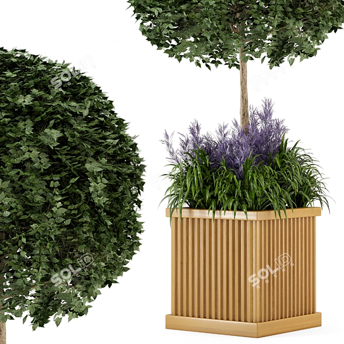 Wooden Pot Bush and Tree Set - Outdoor Plants 3D model image 5