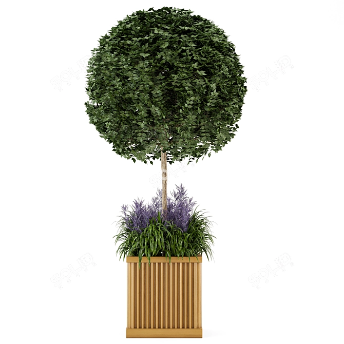 Wooden Pot Bush and Tree Set - Outdoor Plants 3D model image 6