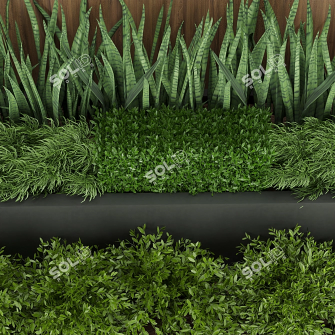 Premium Plant Collection: Volume 198 3D model image 2