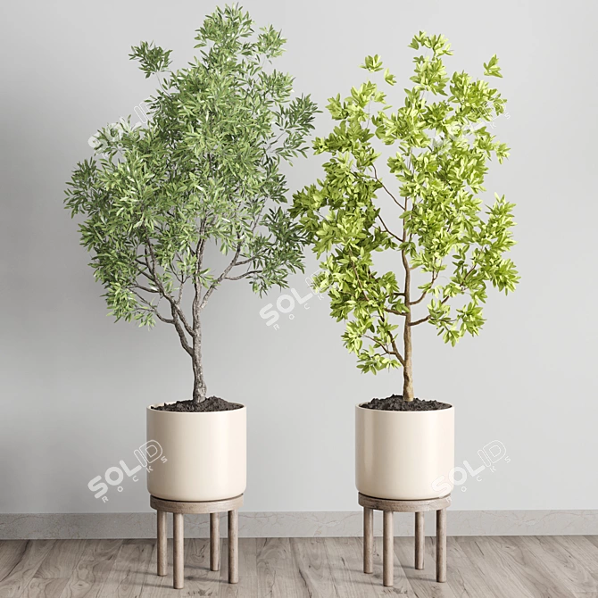 Natural Wood Vase Collection 3D model image 4