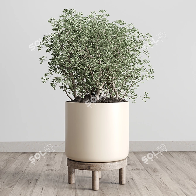 Natural Wood Vase Collection 3D model image 6