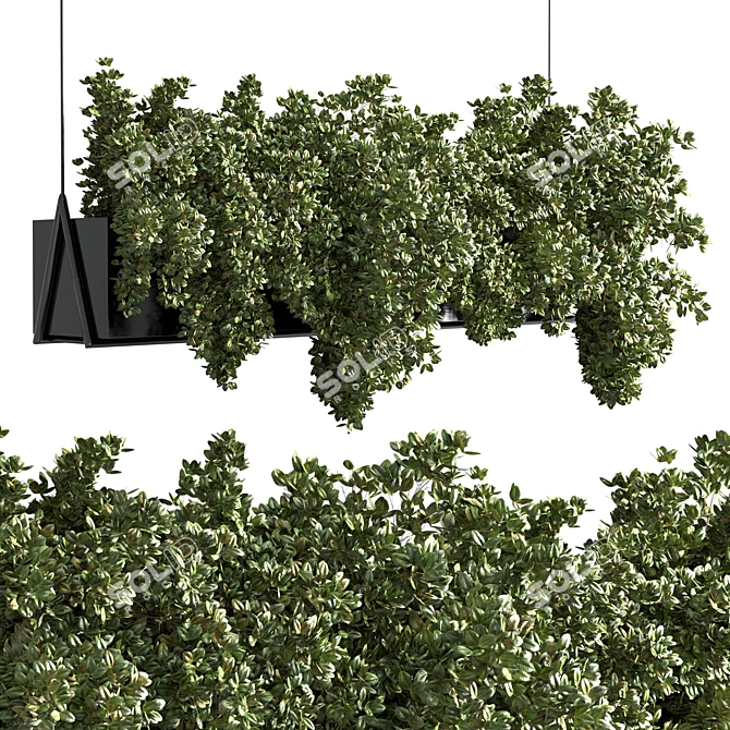 Metal Bax Vase: Collection of Indoor Hanging Plants 3D model image 1