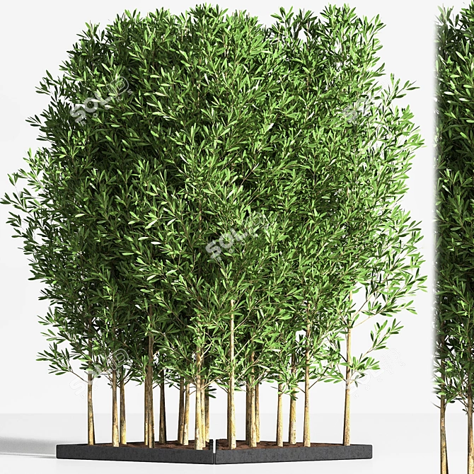 Elegant 6-Part Indoor Plant Stand 3D model image 1