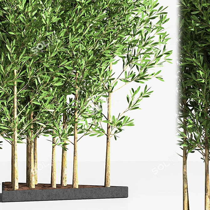 Elegant 6-Part Indoor Plant Stand 3D model image 3