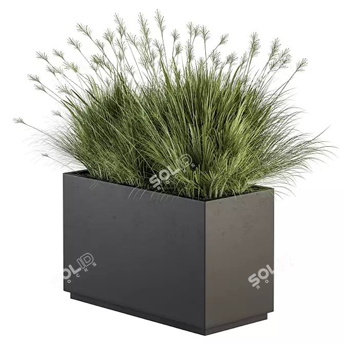 Indian Grass Plant Box Set 3D model image 1