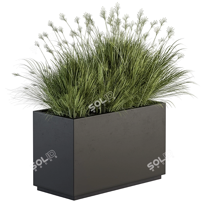 Indian Grass Plant Box Set 3D model image 2