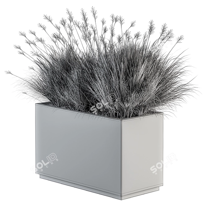 Indian Grass Plant Box Set 3D model image 5