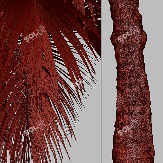 Exquisite Set of Umbrella Palm Trees 3D model image 6