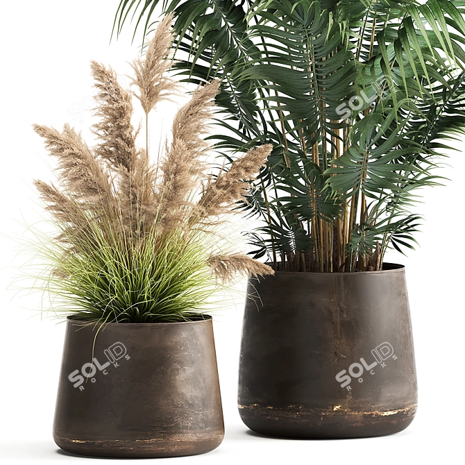 Tropical Plant Collection in Artizan Iron Pots 3D model image 2