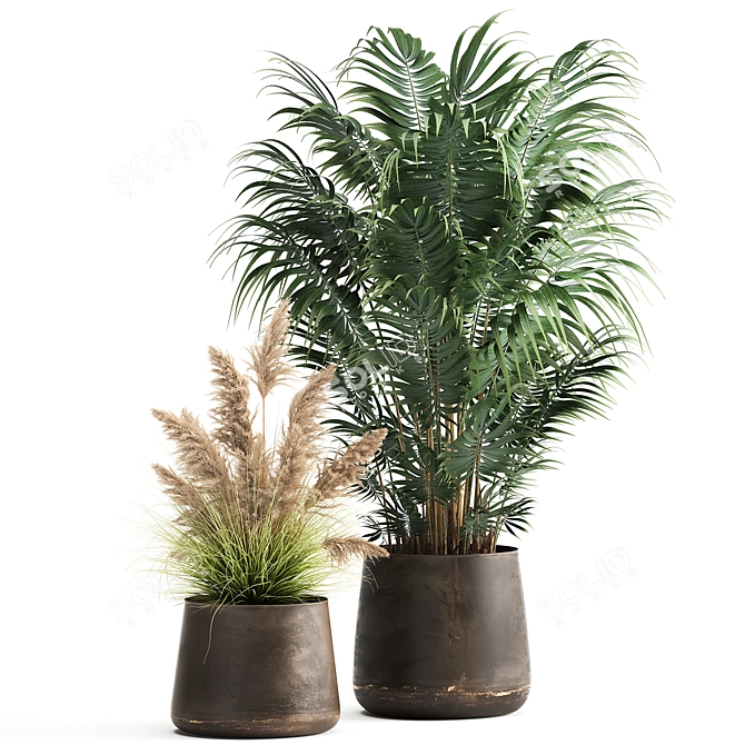 Tropical Plant Collection in Artizan Iron Pots 3D model image 4