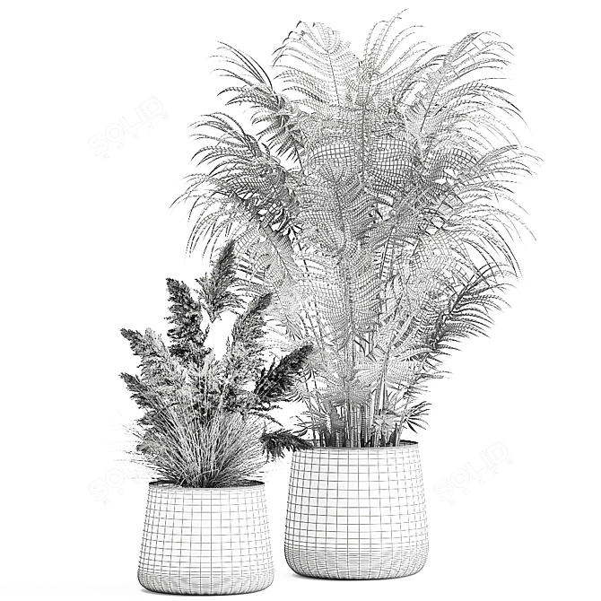 Tropical Plant Collection in Artizan Iron Pots 3D model image 5