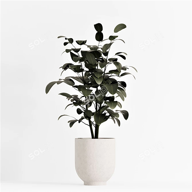 Lush Ficus Plant Collection 3D model image 4