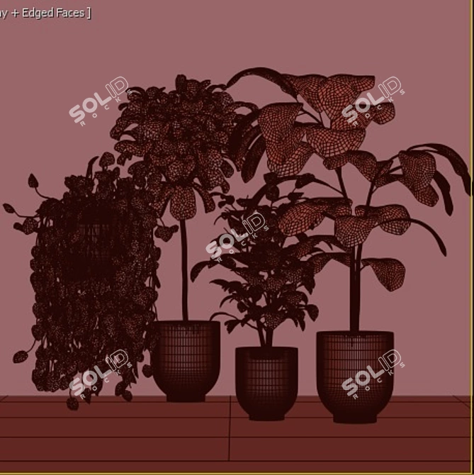 Lush Ficus Plant Collection 3D model image 6