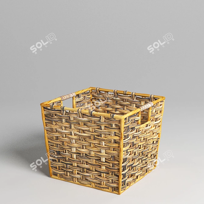 Eco Chic Hyacinth Storage Tote 3D model image 1