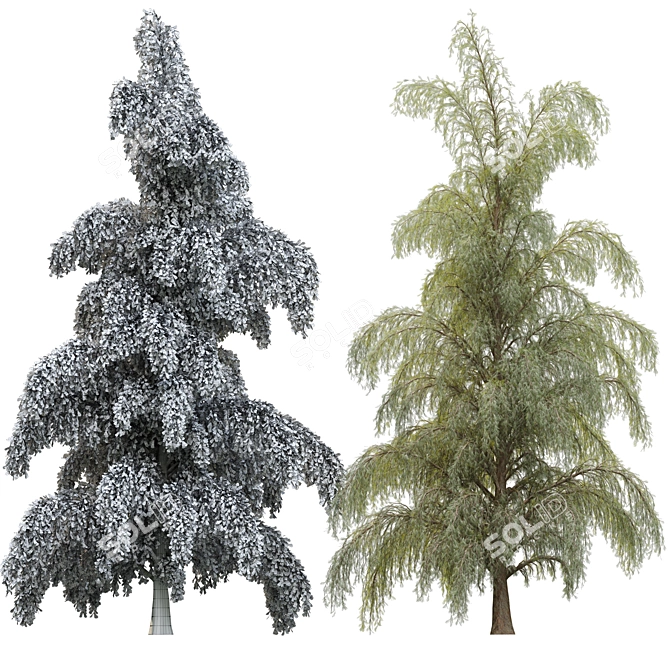 Russian Pine Tree for Gorgeous Landscape 3D model image 2