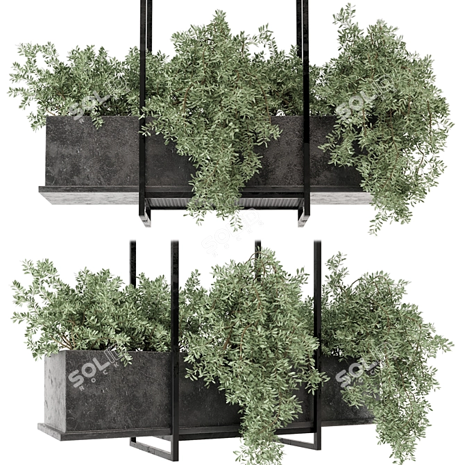 Metal Box Hanging Plants Set 3D model image 2