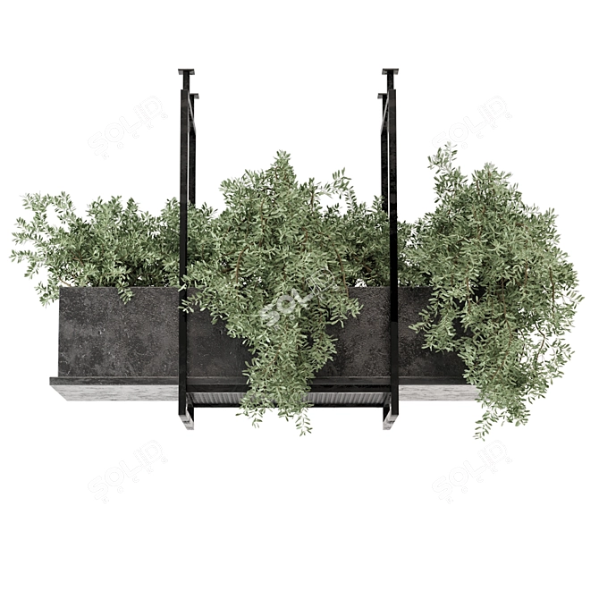 Metal Box Hanging Plants Set 3D model image 4