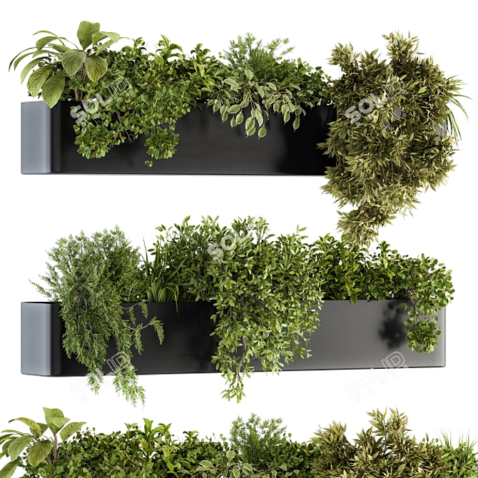 Wildgreen Hangorama - Indoor Hanging Plant Set 3D model image 2