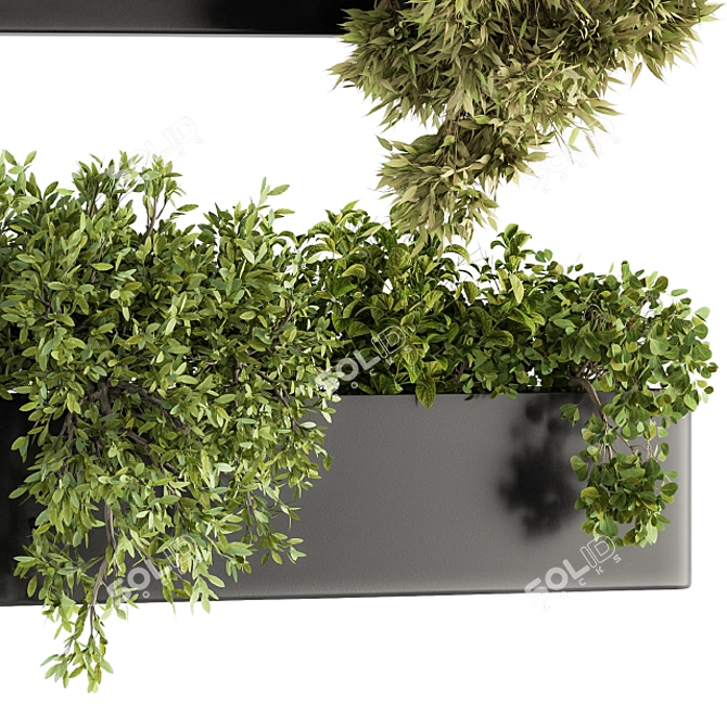 Wildgreen Hangorama - Indoor Hanging Plant Set 3D model image 3