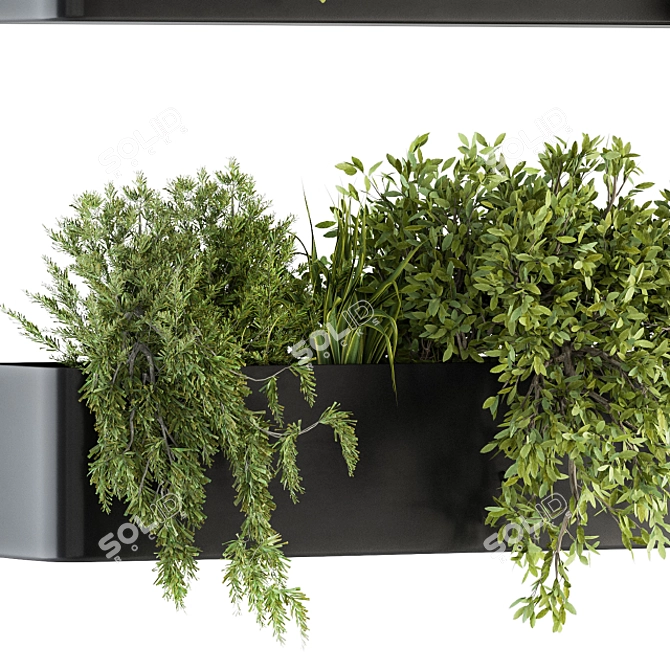 Wildgreen Hangorama - Indoor Hanging Plant Set 3D model image 4