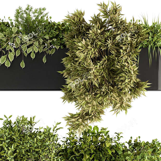 Wildgreen Hangorama - Indoor Hanging Plant Set 3D model image 5