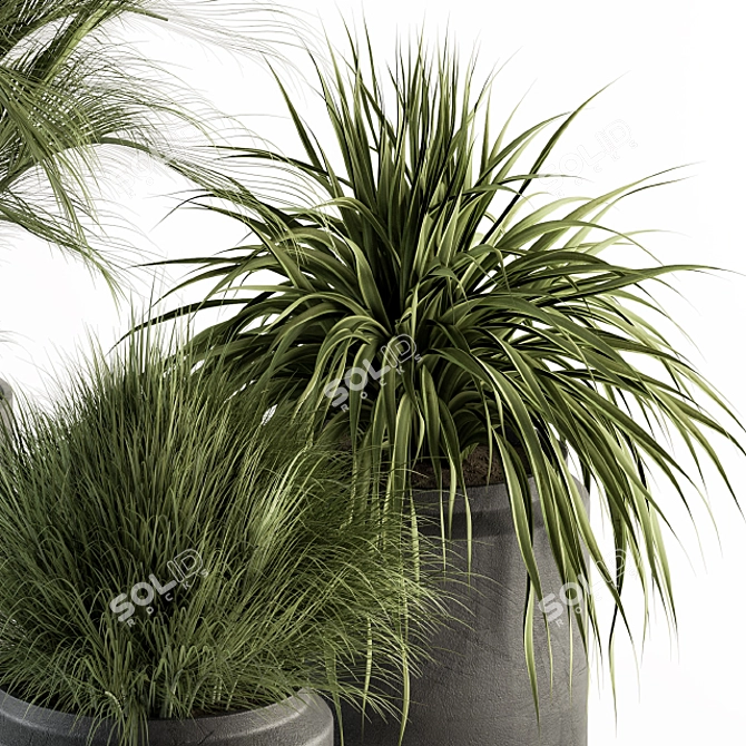 Fresh Greenery: Indoor Plant Set 3D model image 4