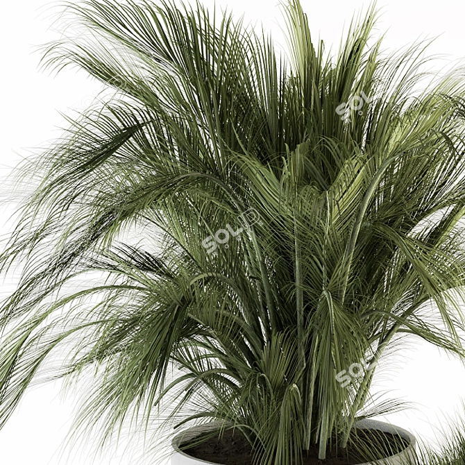 Fresh Greenery: Indoor Plant Set 3D model image 5