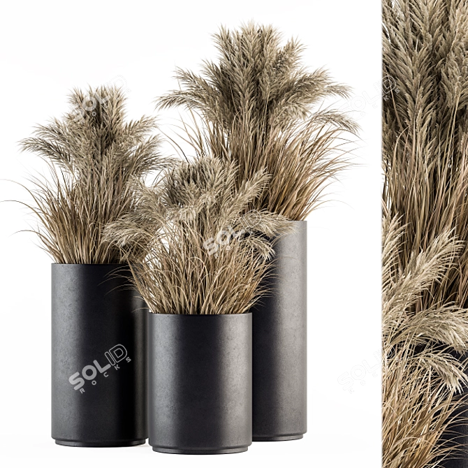 Lush Pampas Trio: 224 Indoor Plants 3D model image 1