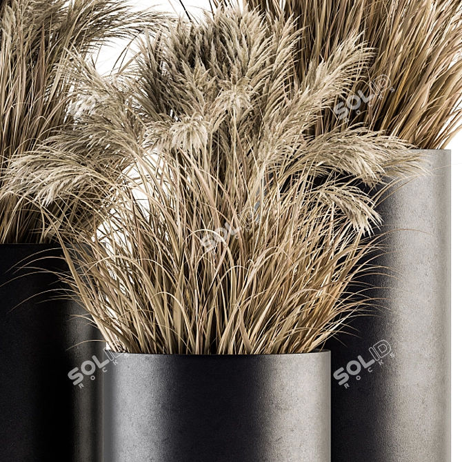 Lush Pampas Trio: 224 Indoor Plants 3D model image 2