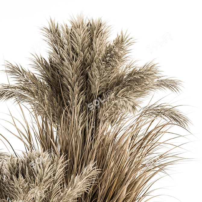 Lush Pampas Trio: 224 Indoor Plants 3D model image 3