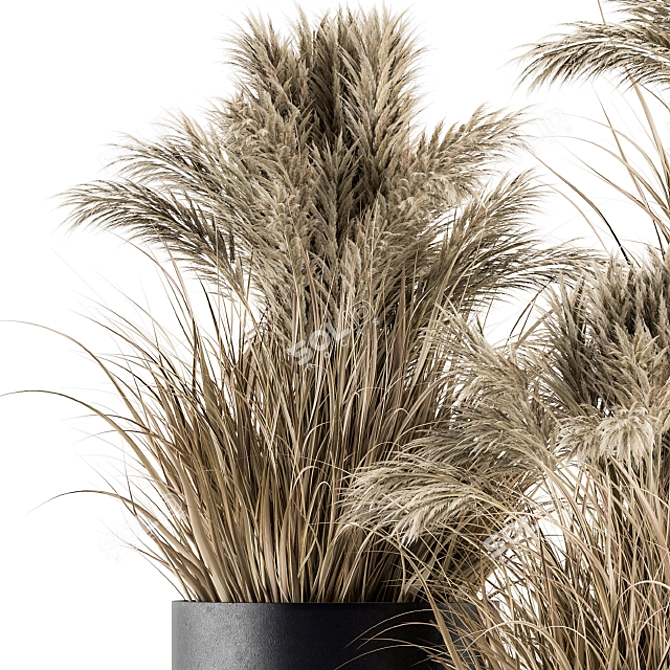 Lush Pampas Trio: 224 Indoor Plants 3D model image 4