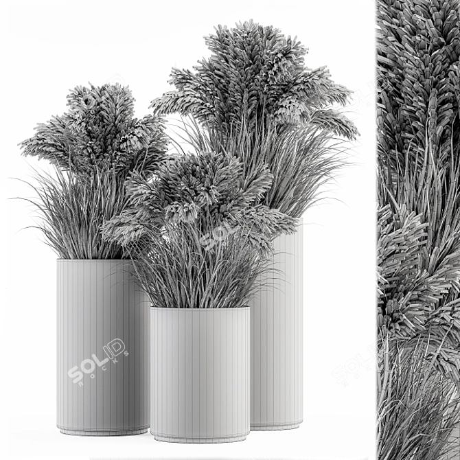 Lush Pampas Trio: 224 Indoor Plants 3D model image 5