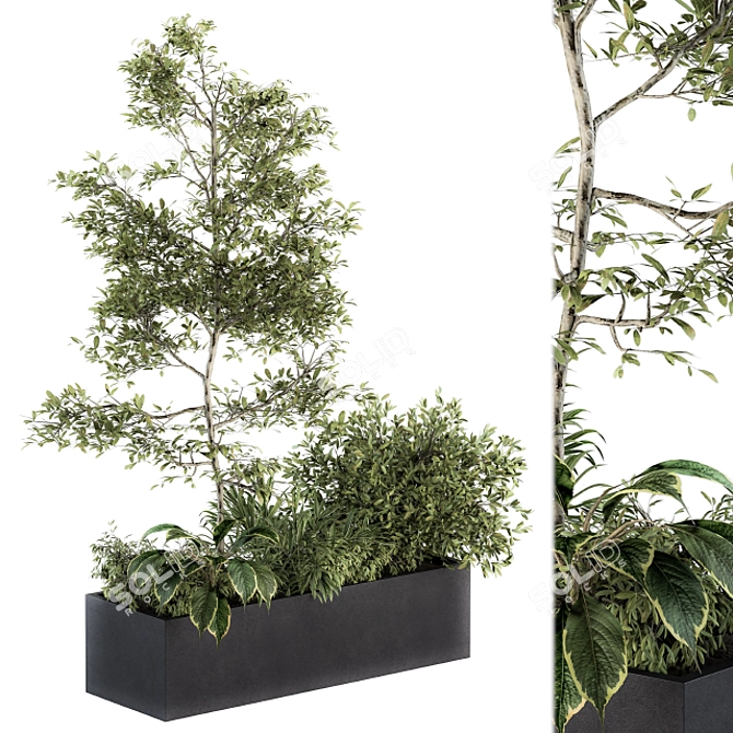 Nature's Oasis: Outdoor Plant Set 3D model image 1