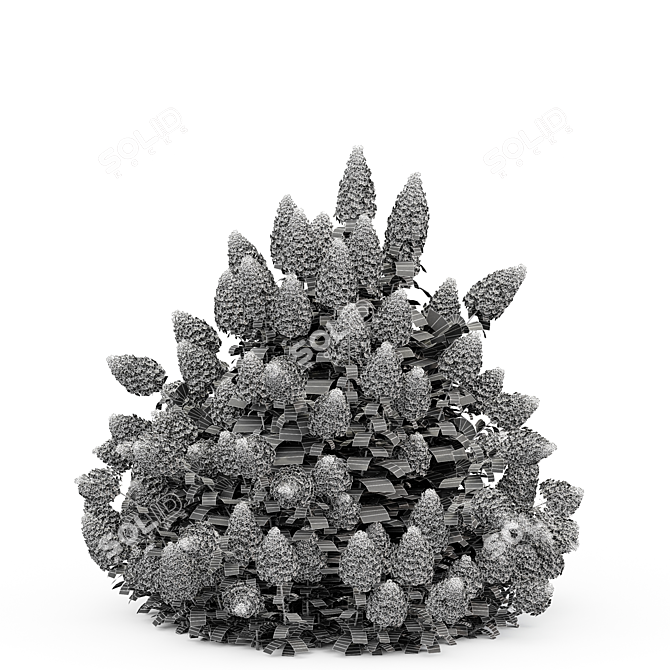 Phantom Hydrangea: Exquisite Blooms for Your Garden 3D model image 5