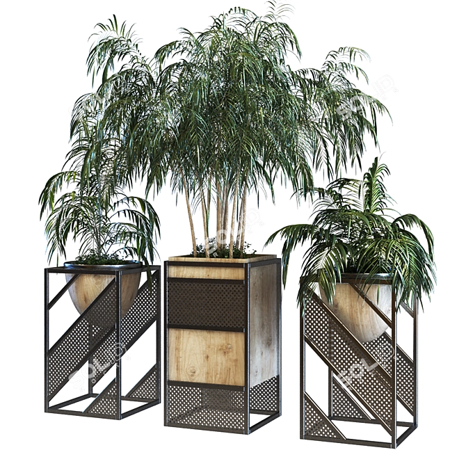 Botanical Bliss Box: Deluxe Plant Set 3D model image 3