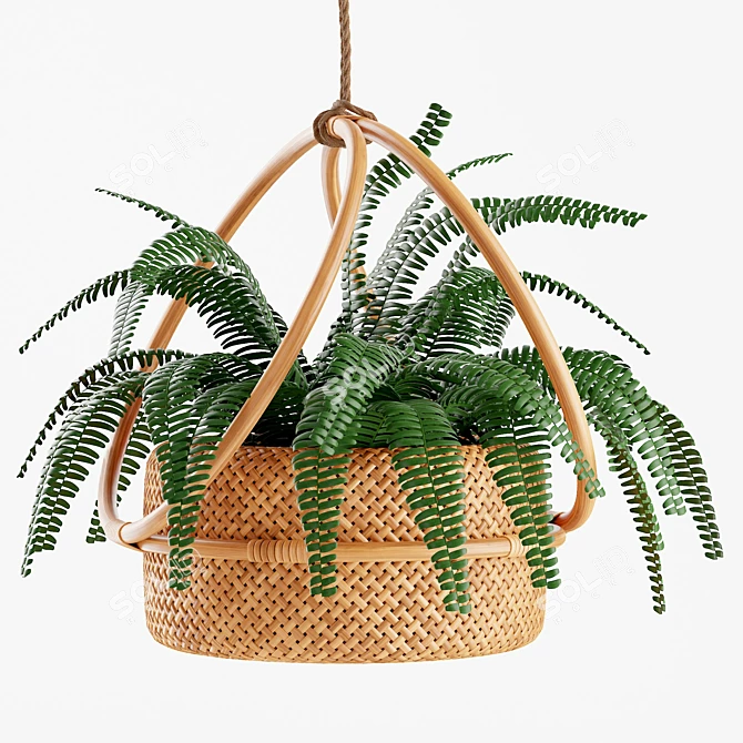 Natural Rattan Hanging Planter 3D model image 2