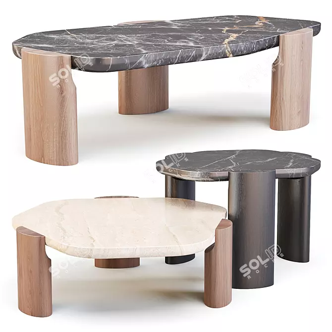 LOB Low: Nature-inspired Coffee & Side Tables 3D model image 1