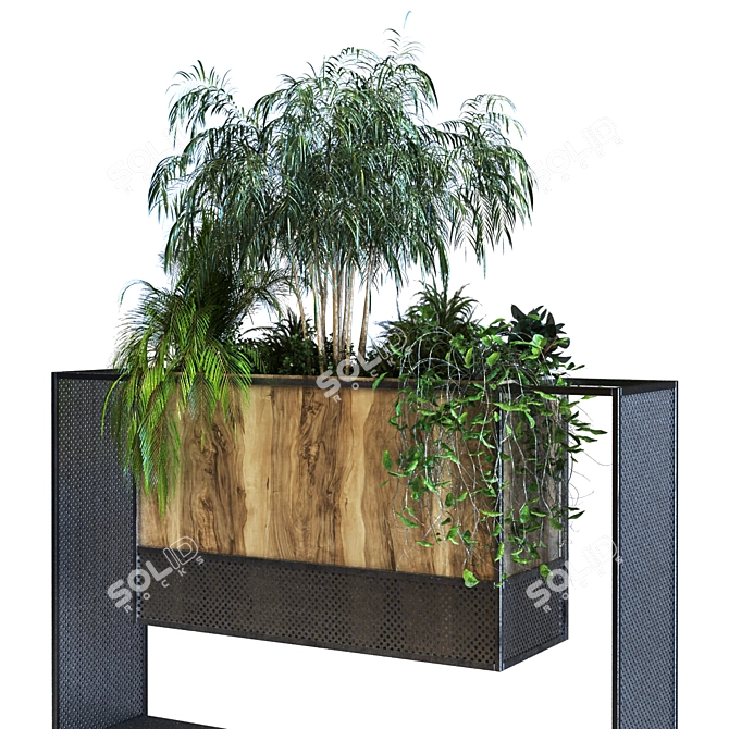 Botanical Paradise Box Set 3D model image 3