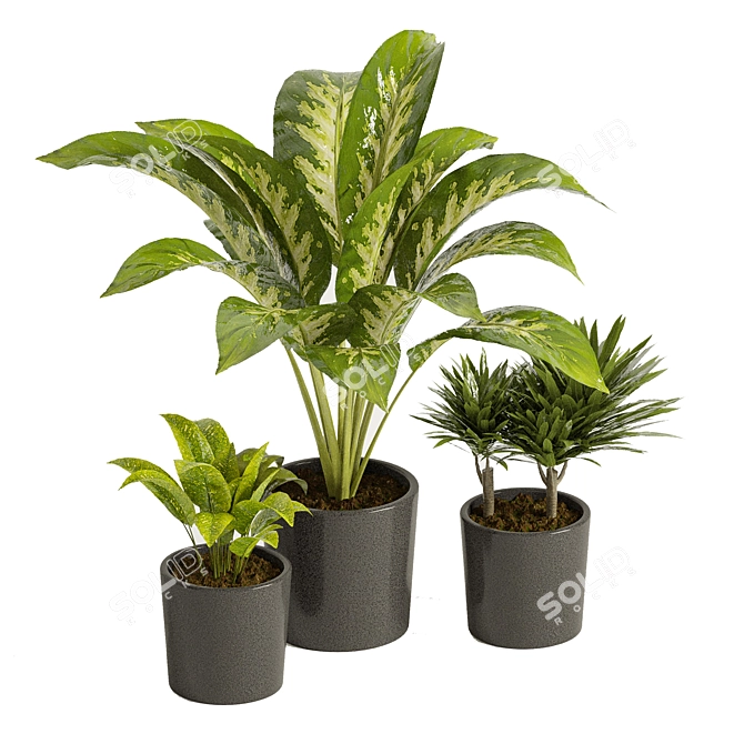 Greenery Delight: Plants Collection 3D model image 5
