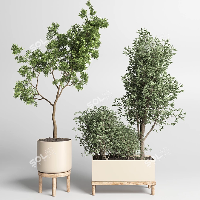 Wooden Vase Collection: 50 Indoor Plants 3D model image 1