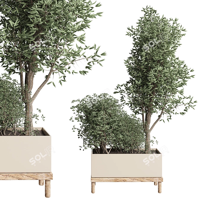 Wooden Vase Collection: 50 Indoor Plants 3D model image 3