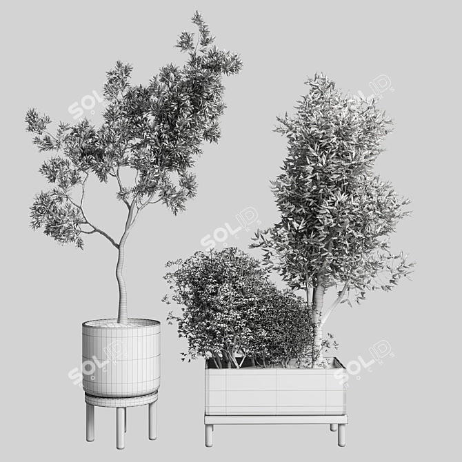 Wooden Vase Collection: 50 Indoor Plants 3D model image 4