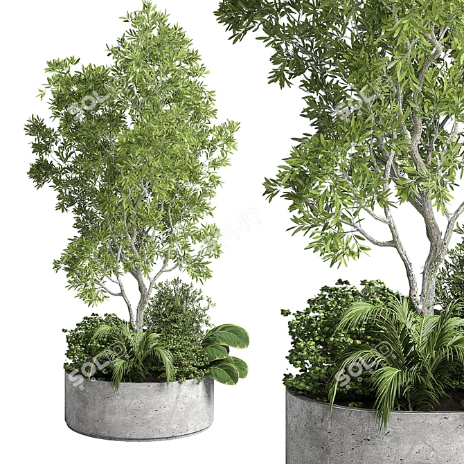 Indoor Plant Collection - Wood Vase 3D model image 1