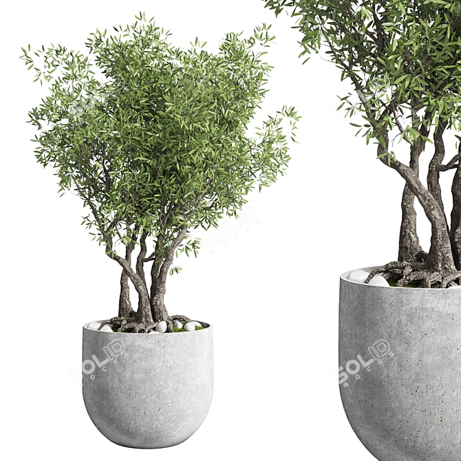 Modern Outdoor Plant Concrete Vase 3D model image 2
