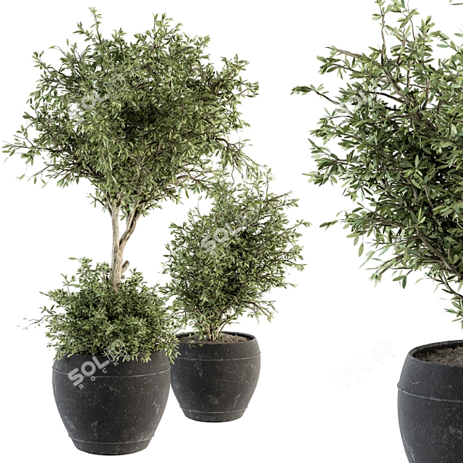 Botanical Bliss: Indoor Plant Set 206 3D model image 2