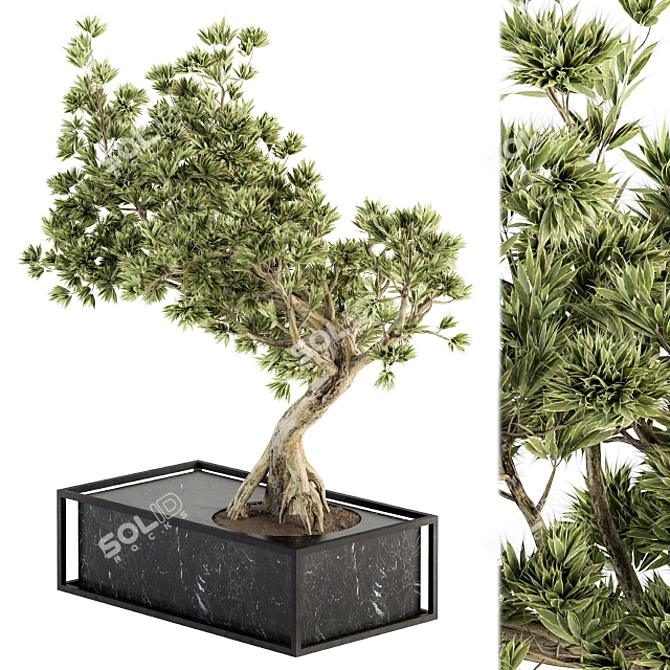 Zen Oasis Bonsai Set 3D model image 2