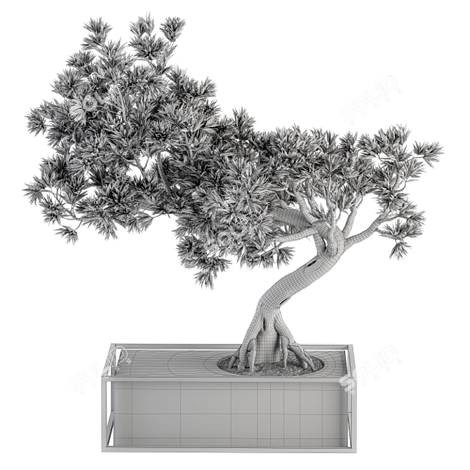 Zen Oasis Bonsai Set 3D model image 6