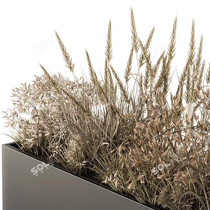 Natural Beauty: Outdoor Dried Plant Set 3D model image 2