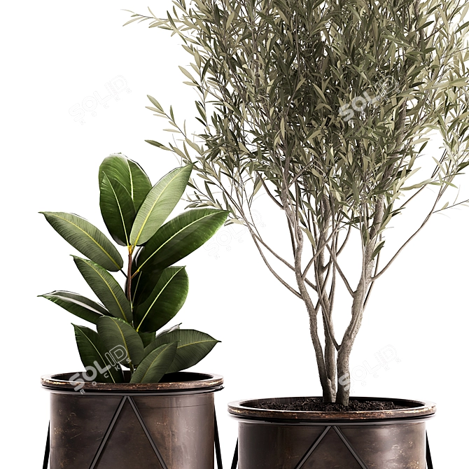Tropical Plant Assortment - Metal Pot Collection 3D model image 2