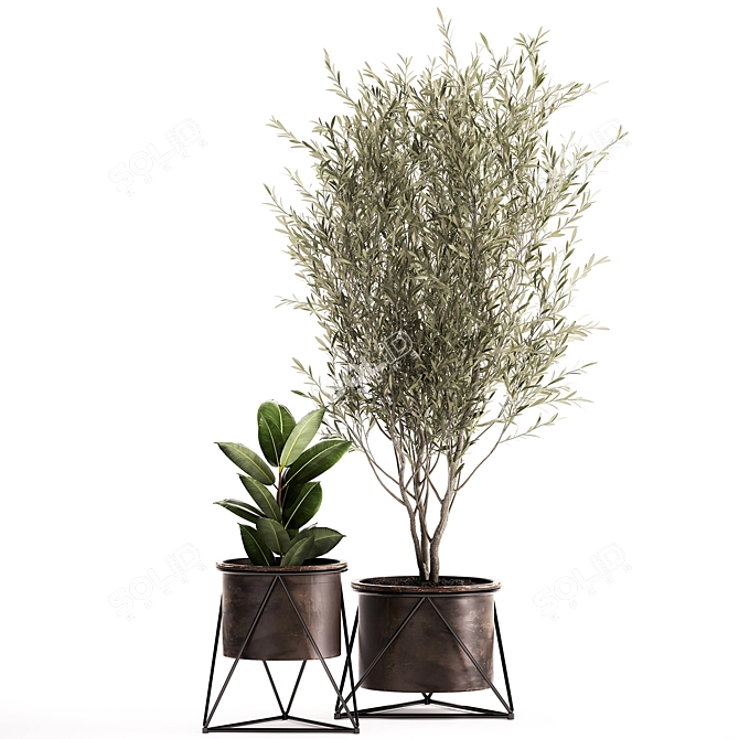 Tropical Plant Assortment - Metal Pot Collection 3D model image 6